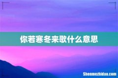 你若寒冬来歌什么意思
