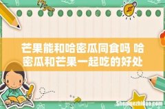 芒果能和哈密瓜同食吗 哈密瓜和芒果一起吃的好处