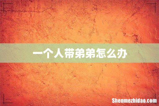 一个人带弟弟怎么办
