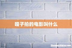 嘎子拍的电影叫什么