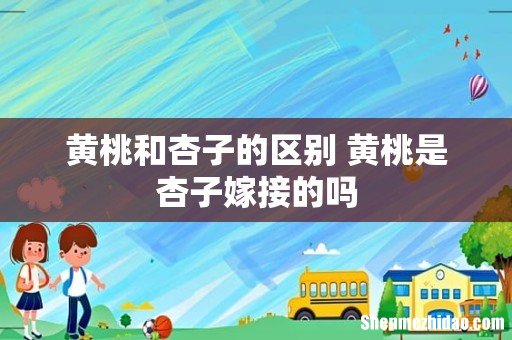 黄桃和杏子的区别 黄桃是杏子嫁接的吗