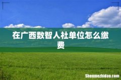 在广西数智人社单位怎么缴费