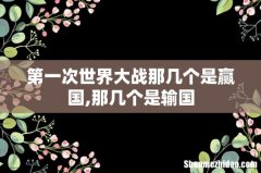 第一次世界大战那几个是赢国,那几个是输国