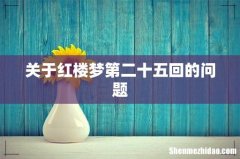 关于红楼梦第二十五回的问题