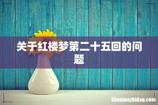 关于红楼梦第二十五回的问题