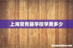 上海常青藤学校学费多少