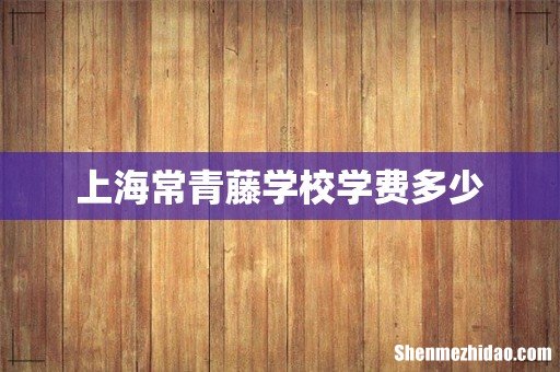 上海常青藤学校学费多少