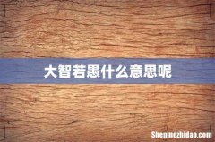 大智若愚什么意思呢