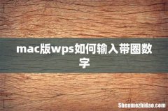 mac版wps如何输入带圈数字