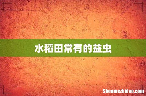 水稻田常有的益虫