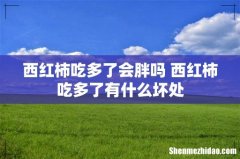 西红柿吃多了会胖吗 西红柿吃多了有什么坏处