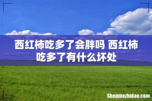 西红柿吃多了会胖吗 西红柿吃多了有什么坏处