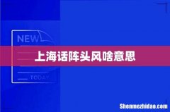 上海话阵头风啥意思