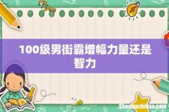 100级男街霸增幅力量还是智力