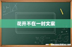 花开不在一时文案