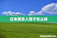 日本黑贵人茄子怎么样