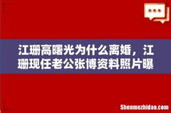 江珊高曙光为什么离婚，江珊现任老公张博资料照片曝光