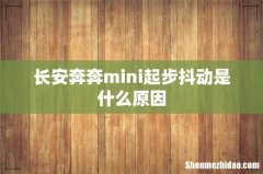 长安奔奔mini起步抖动是什么原因