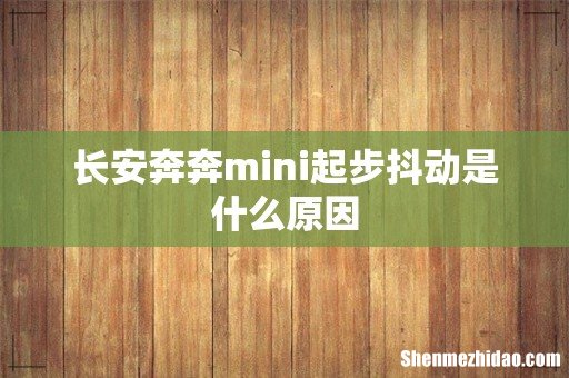 长安奔奔mini起步抖动是什么原因
