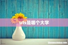uts是哪个大学