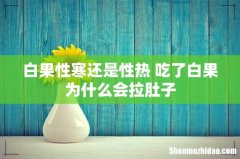 白果性寒还是性热 吃了白果为什么会拉肚子