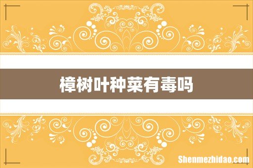 樟树叶种菜有毒吗
