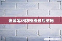 盗墓笔记陈橙澄最后结局