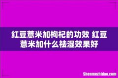 红豆薏米加枸杞的功效 红豆薏米加什么祛湿效果好