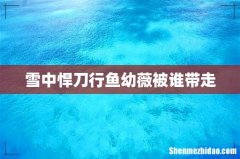 雪中悍刀行鱼幼薇被谁带走