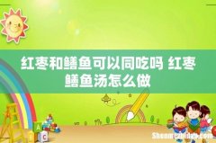 红枣和鳝鱼可以同吃吗 红枣鳝鱼汤怎么做