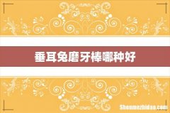 垂耳兔磨牙棒哪种好