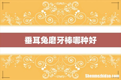 垂耳兔磨牙棒哪种好