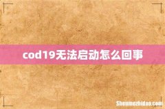 cod19无法启动怎么回事