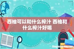 西柚可以和什么榨汁 西柚和什么榨汁好喝