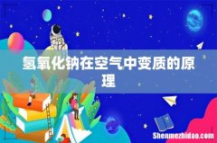氢氧化钠在空气中变质的原理