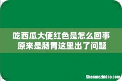 吃西瓜大便红色是怎么回事 原来是肠胃这里出了问题