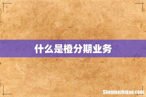 什么是橙分期业务