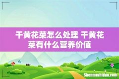 干黄花菜怎么处理 干黄花菜有什么营养价值