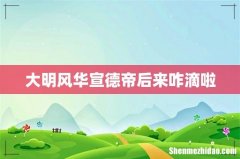 大明风华宣德帝后来咋滴啦