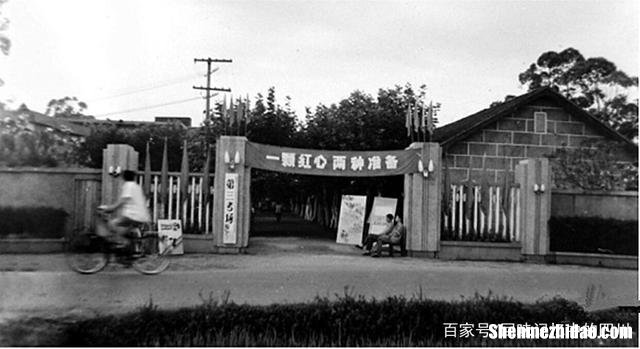 老成都市多少个县