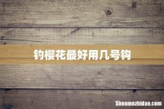 钓樱花最好用几号钩