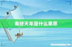寿终天年是什么意思