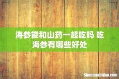海参能和山药一起吃吗 吃海参有哪些好处