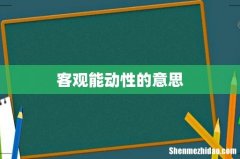 客观能动性的意思