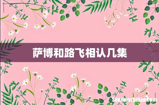 萨博和路飞相认几集