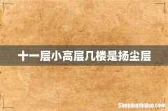 十一层小高层几楼是扬尘层