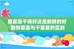 桑葚是干得好还是新鲜的好 新鲜桑葚与干桑葚的区别