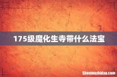 175级魔化生寺带什么法宝