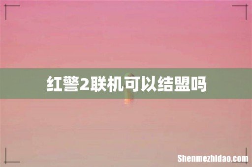 红警2联机可以结盟吗