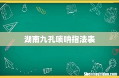 湖南九孔唢呐指法表